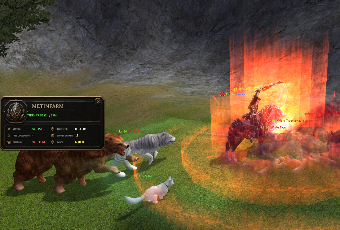 Character actively farming metin stones